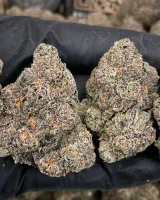 (Bild für) Spritzer