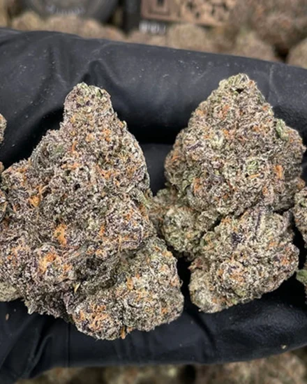 (Bild für) Spritzer - zum Schließen ins Bild klicken